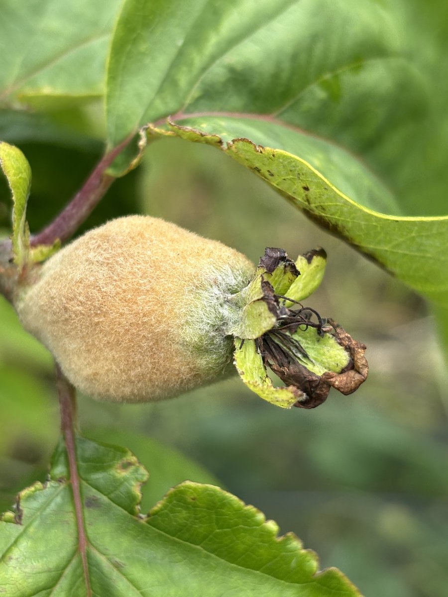 Jacqui Boddington tweet media