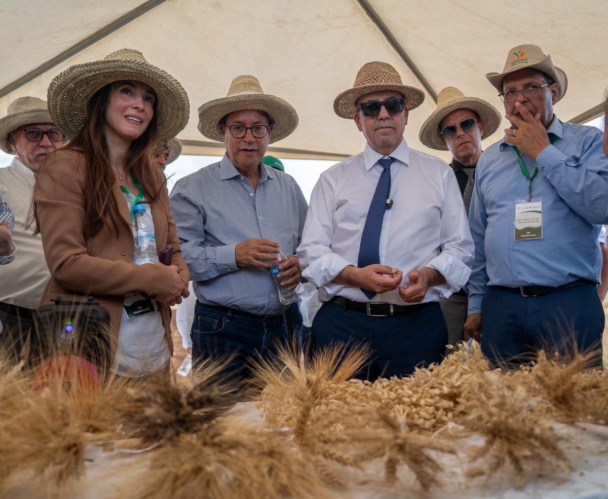 ICARDA (@icarda) on Twitter photo 🌾 ICARDA & <a href="/INRAMaroc/">INRA Maroc</a> hosted a field visit to Marchouch Research Station in Morocco!
H.E. Ahmed El Bouari MoA 🇲🇦 joined @AlyAbousabaa & Dr. Lamiae El Ghaouti INRA DG.
🔬 Scientists showcased climate-smart crops, conservation Ag, lentil harvesting & DIY vertical hydroponics! 🌾 ICARDA & <a href="/INRAMaroc/">INRA Maroc</a> hosted a field visit to Marchouch Research Station in Morocco!
H.E. Ahmed El Bouari MoA 🇲🇦 joined @AlyAbousabaa & Dr. Lamiae El Ghaouti INRA DG.
🔬 Scientists showcased climate-smart crops, conservation Ag, lentil harvesting & DIY vertical hydroponics!