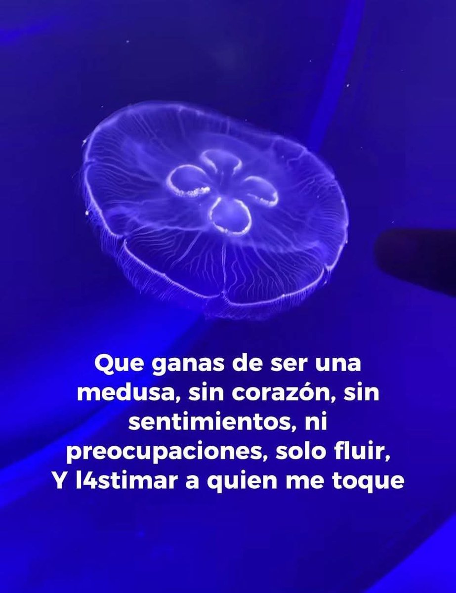 Que ganas