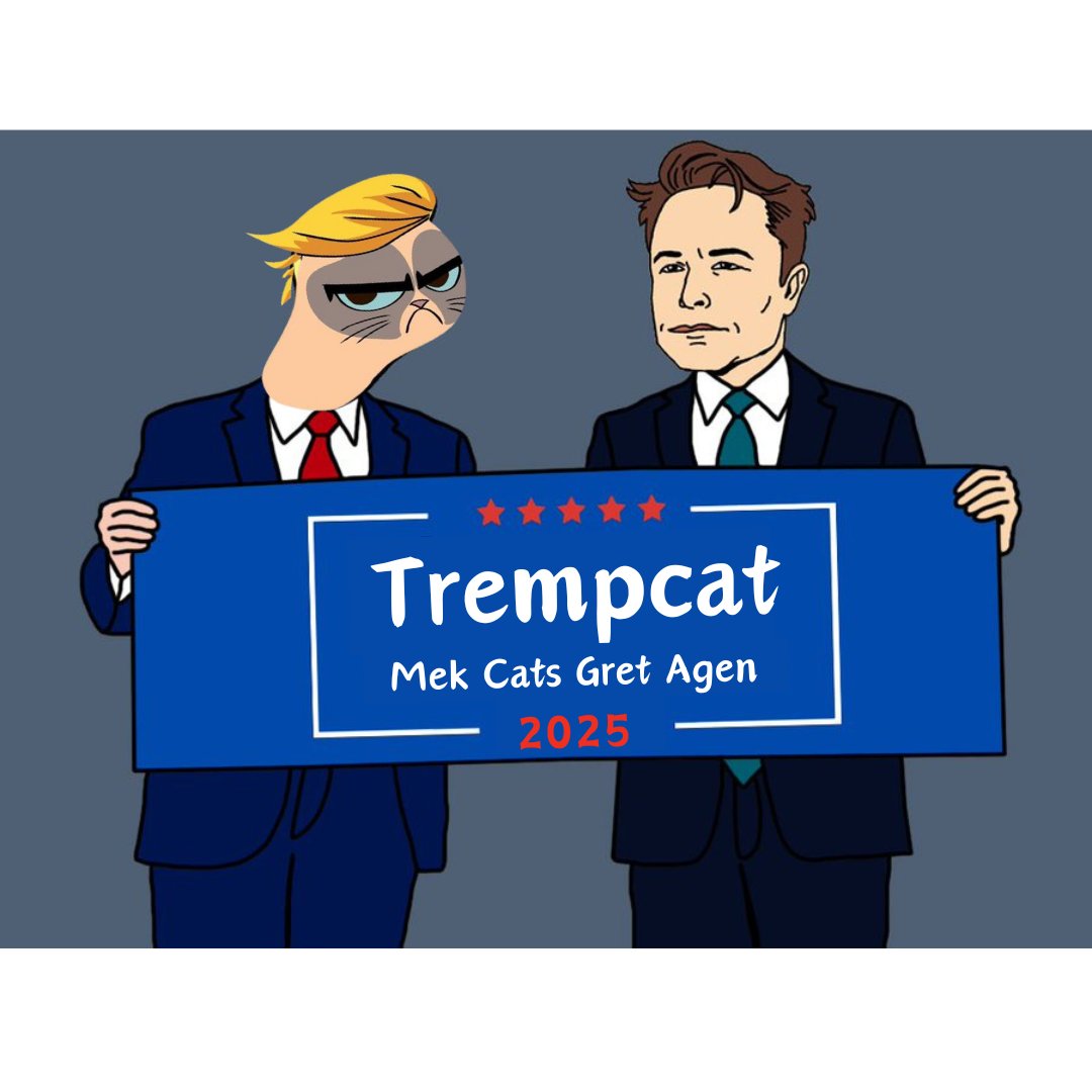 trempcatsol's tweet photo. Thanks for everything you did for America, Elon!
CA:
H2dVGQAPaKW9KQdivgg21g8iDEvpgohXjuxADNfxbMjT
#Trempcat #ElonMusk #memecoins #Solana #maga #Crypto #Bitcoin https://t.co/v0w5zQdXdq