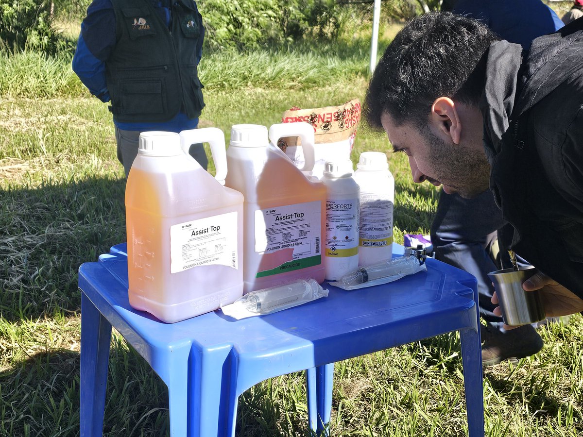 📍Estamos en El Torno, Santa Cruz, en el Simulacro de respuesta a la #langosta sudamericana, plaga que arrasa con cultivos🦗🌱

Expertos de diversos países comparten su experiencia con técnicos y productores, sentando las bases para articular una red de respuesta 🙌