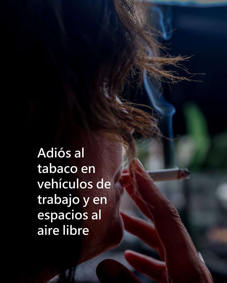 msn_es's tweet photo. 🚭 Fumar, cada vez más difícil
El Gobierno prohibirá fumar en coches de trabajo, campus universitarios, discotecas al aire libre, piscinas e instalaciones deportivas. #Fumar #EspaciosSinHumo #Sanidad
➡️ https://t.co/qATq9zlReZ https://t.co/2ij6BUvDyo