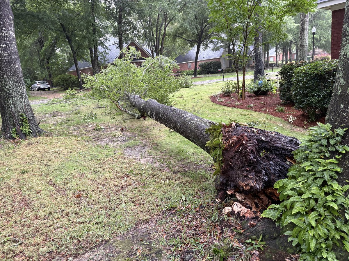 markakellerman's tweet photo. @spann not sure if it was a tornado but it was bad
#fairhope #rockcreek https://t.co/Vq3fGLEtmn