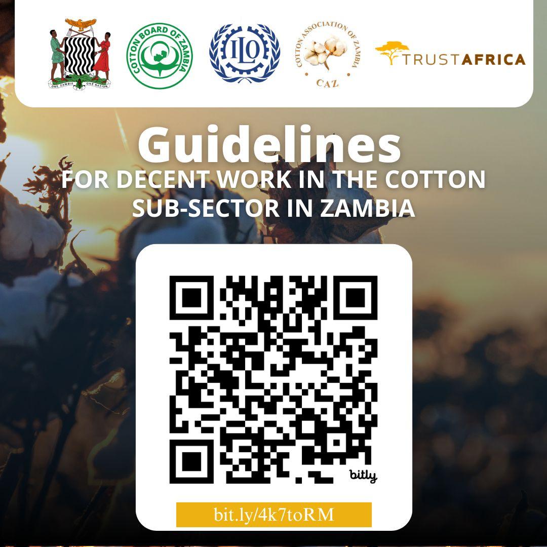 TrustAfrica's tweet image. 📢 Join us tomorrow for the official launch of the Decent Work Guidelines for Zambia’s Cotton Sector!
This is a remarkable milestone in our shared efforts to promote fairness and inclusivity in agricultural value chains. We are proud to have contributed to this process through…