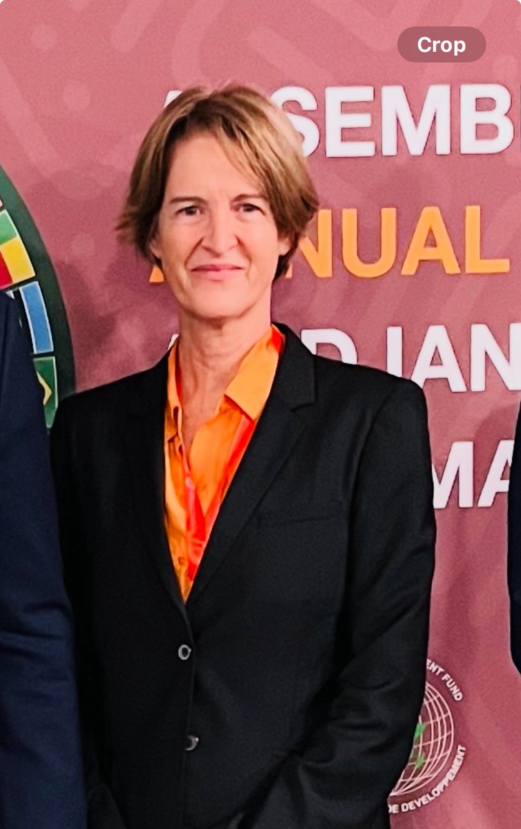 Isaac_Maya's tweet photo. @bridiemarykelly from @freebalance #AfDBAM2025 panelist for Harnessing Technology for Domestic Mobilization to discuss the importance of revenue, but once you have it, how do you spend it to achieve citizen wellbeing https://t.co/65fzxWqUI0