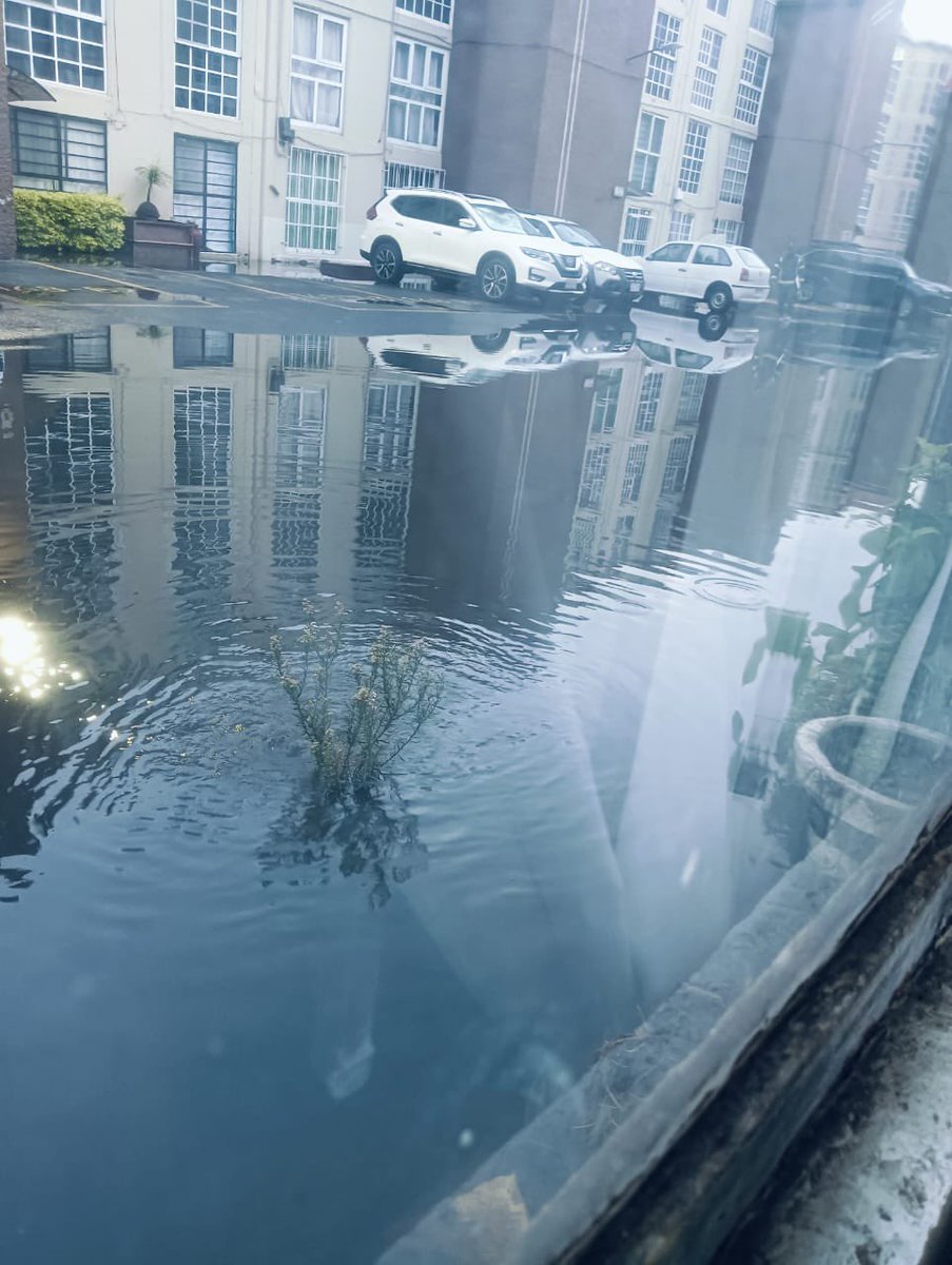 Halcon (@halcononce) on Twitter photo Tras las lluvias durante la madrugada en #Cdmx y #Edomex, así amaneció una unidad habitacional “Granjas Coapa” en <a href="/TlalpanAl/">Alcaldía Tlalpan</a>.
Inundada solicitando apoyo de camiones vactor. Tras las lluvias durante la madrugada en #Cdmx y #Edomex, así amaneció una unidad habitacional “Granjas Coapa” en <a href="/TlalpanAl/">Alcaldía Tlalpan</a>.
Inundada solicitando apoyo de camiones vactor.