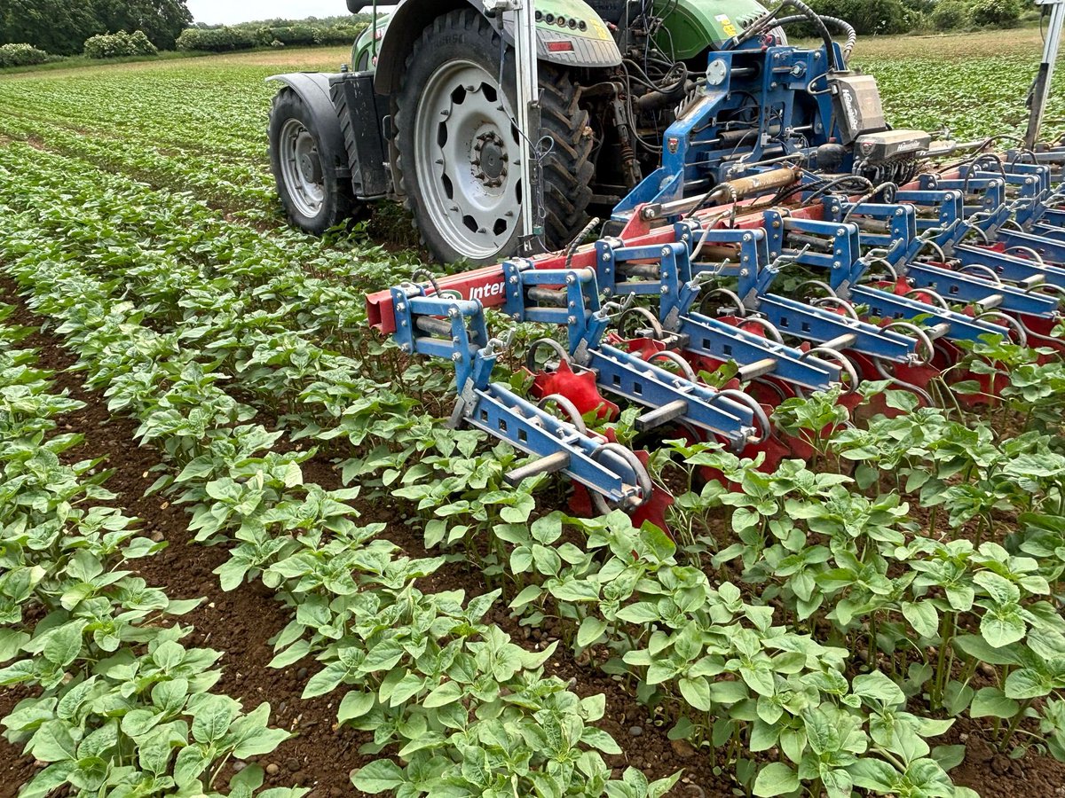 Peter Snell tweet media