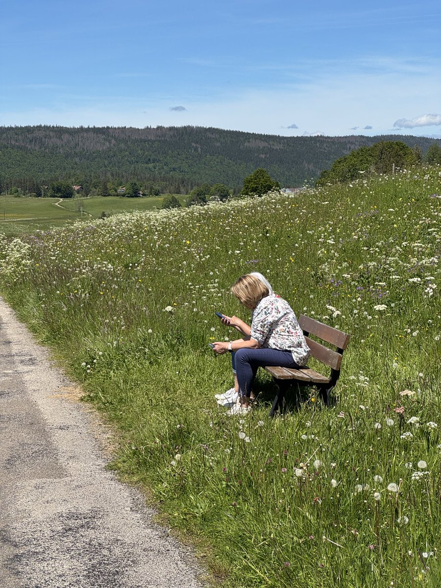 Jali🌺 tweet media