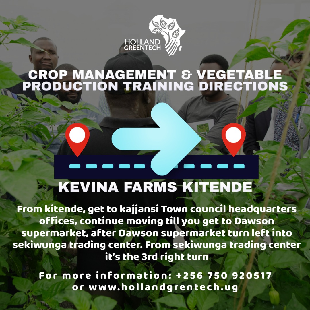 Join us for the Crop Management in Vegetable Production Training at Kevina Farms Kitende!

Event Details:
- Date: This Friday, 30th May
- Fee: UGX 50,000
- Location: Kevina Farms
 Map:maps.app.goo.gl/F415X7Ghn1t2eS…
Registration: shorturl.at/QlXYR

RSVP::
📞 +256 750 920517