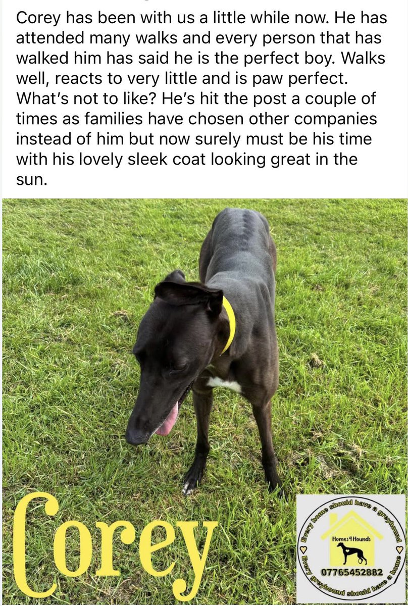 Corey Is still to find that family to join. Let’s hope that it can be found soon