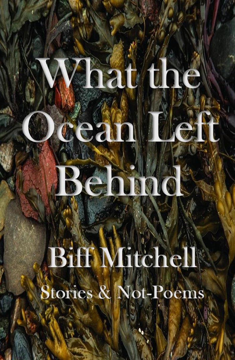 biffmitchell's tweet photo. BOOK WARNING

This book will scatter your mind over a jagged bed of theme-avoidance like fire flowing over ice or an iceberg melting in Hell.

You can read more about it here: 
https://t.co/YIoA6f99fy https://t.co/RKNQaTlz5n