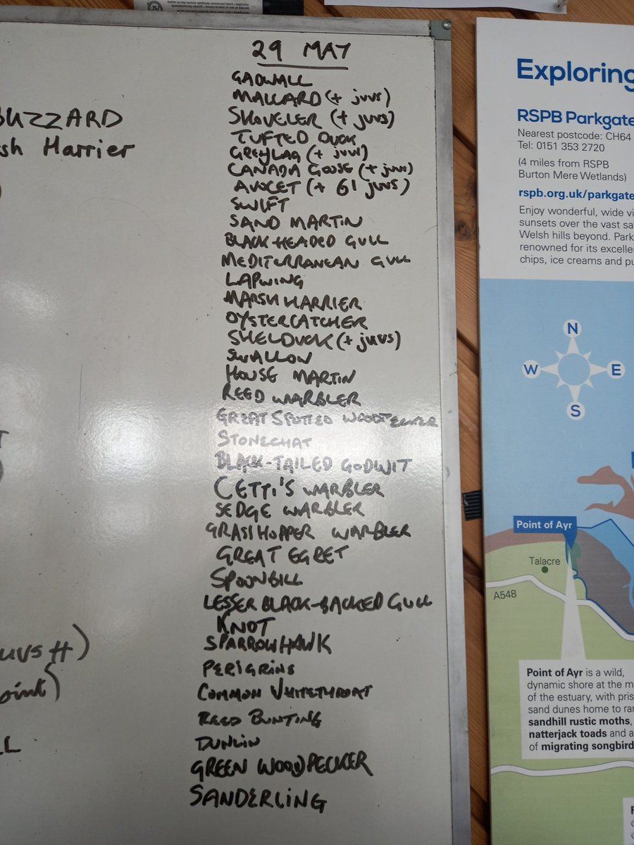 Exciting to see a Peregrine over main scrape. Swifts, swallows, sand and house martins are providing an amazing aerial acrobatics display. Still plenty of chicks about. Turning into a lovely afternoon after a grey start. #sightings