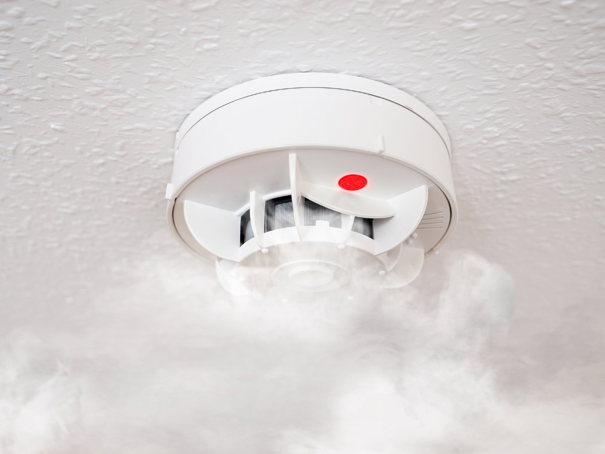 smackboyzsmoke's tweet image. How do vape detectors work? 
Find out how they’re keeping spaces smoke-free — and what you should know.

Read more here: smackboyzsmokeshop.com/how-do-vape-de…

#VapeDetection #VapeTech #SmackBoyzSmokeShop #SmokeFreeSpaces