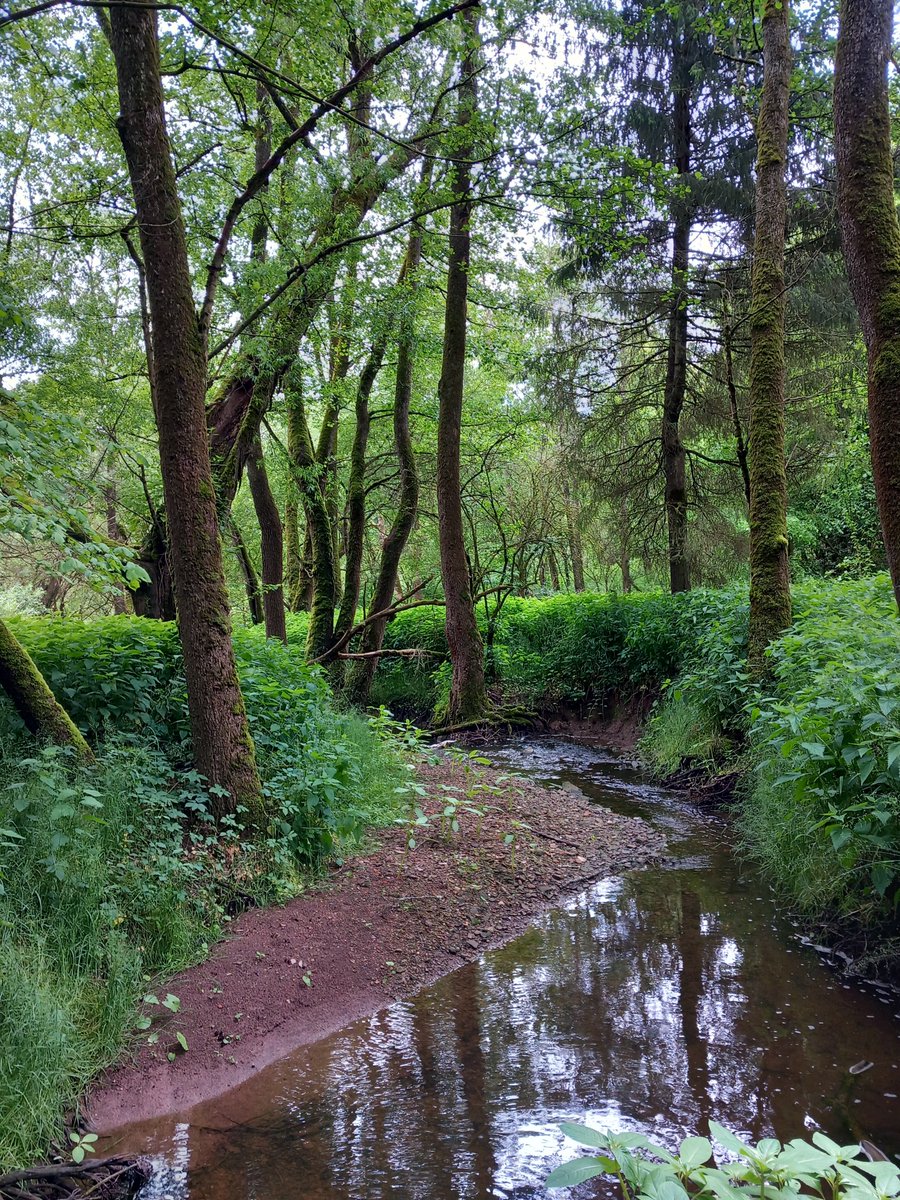 Iwobrand (@iwobrand) on Twitter photo 