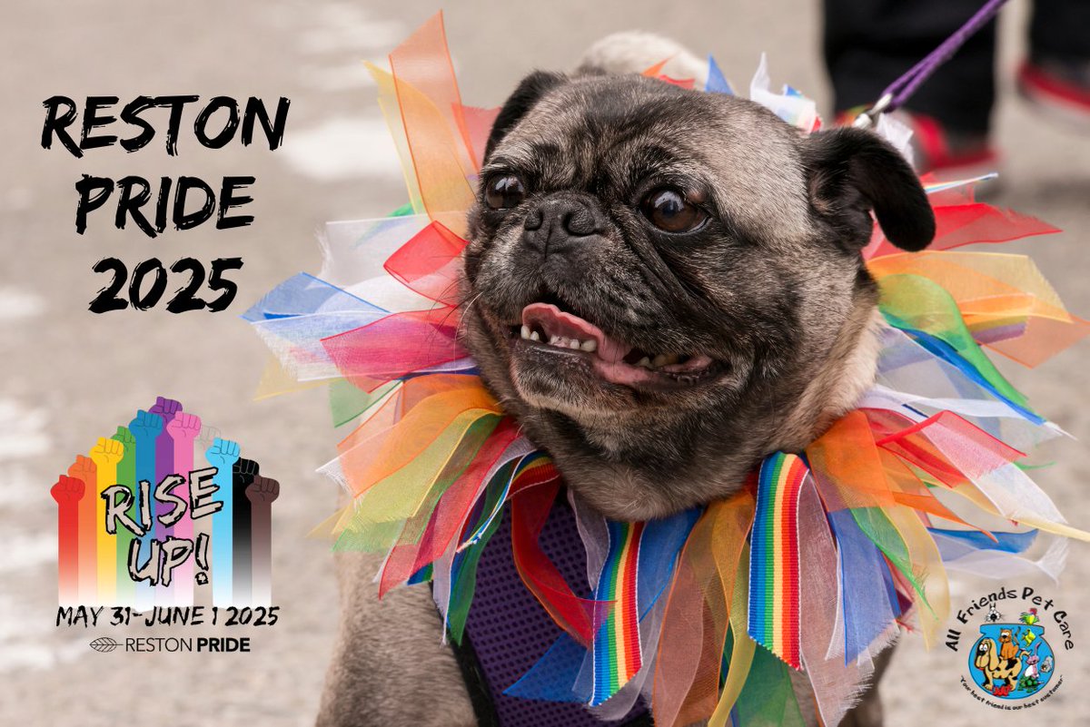Are you ready to join us this Sunday at the <a href="/RestonPride/">Reston Pride</a> Festival? 🏳️‍🌈 🐾 We'll be at our booth from 11AM-6PM. Make sure to stop by and enter our Love Wins, Pets Win Raffle! You could snag a $50 or $25 AFPC gift card or a fun Rainbow Cat Scratcher.

#AllFriendsPetCare #RestonPride