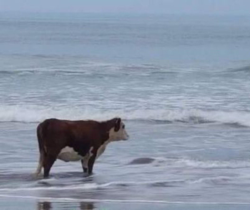 aflp004's tweet image. faaaade into you…