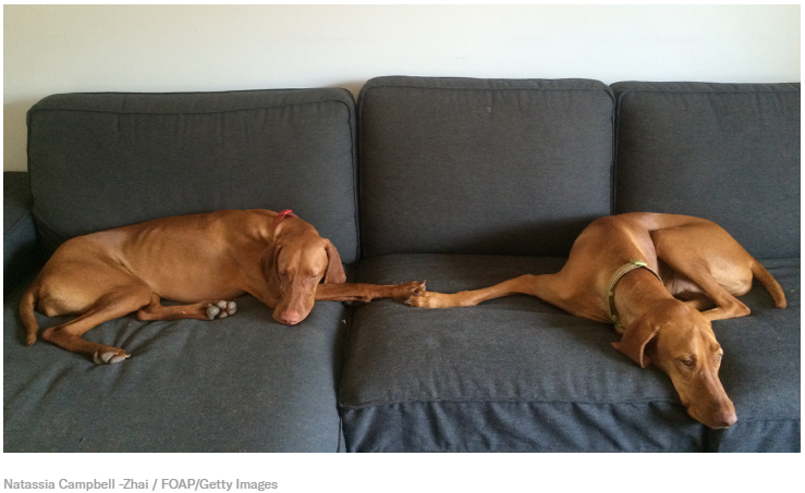 Lawrence Drake, PhD tweet media