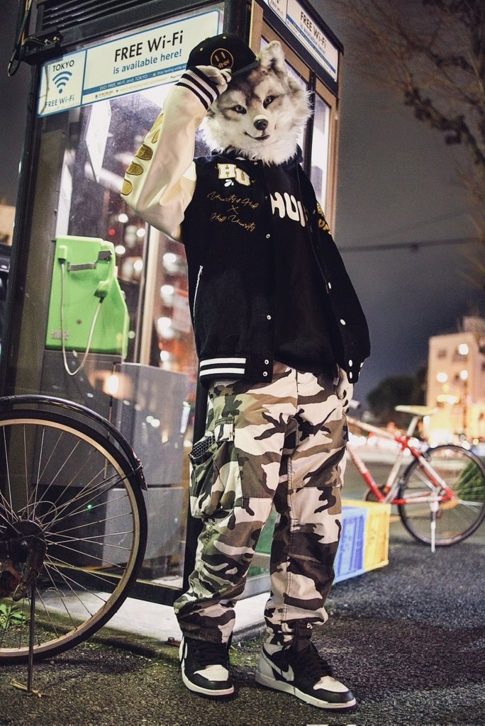 なんと今日でお迎えして4年〜おめでた！これからもよろしくお願いします〜🙏🏻✨