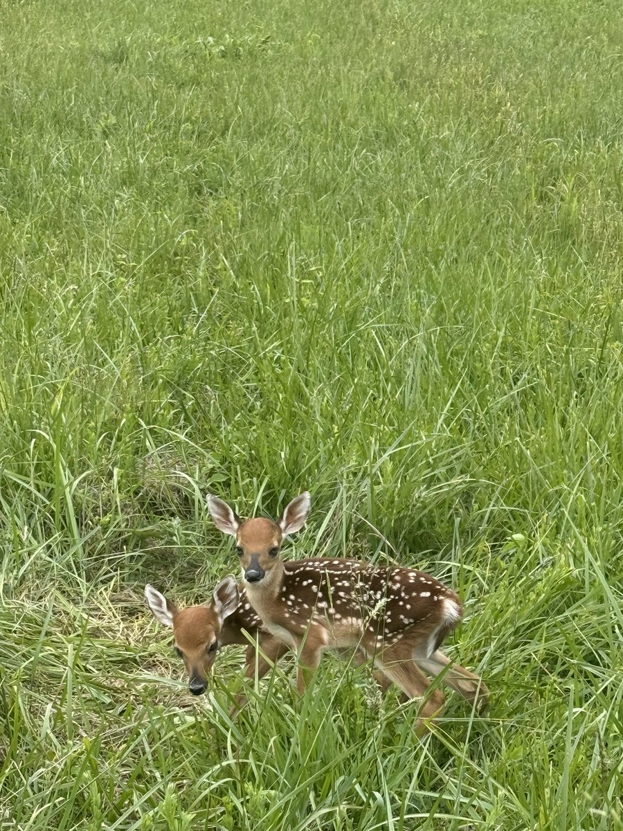 erinreddingg's tweet photo. i can’t get over how cute they were omg https://t.co/F4Nq3jq8Gl