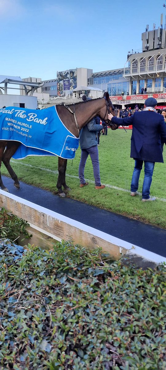 dfmoriarty's tweet photo. @ClosuttonRacing @LeopardstownRC @punchestownrace @jamesfent @skysportsAlexH @WillieMullinsNH Some pics I took of her after winning a big race at Leopardstown Dec 22. https://t.co/2p1bs6ZMUG