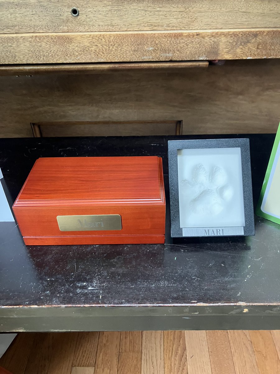 mattpodwysocki's tweet image. I am really touched by the outpouring of love for Mari after her passing. She is my angel now and I miss her dearly but she is finally home. The flowers, cards and more have shown how much Mari touched the lives of others.