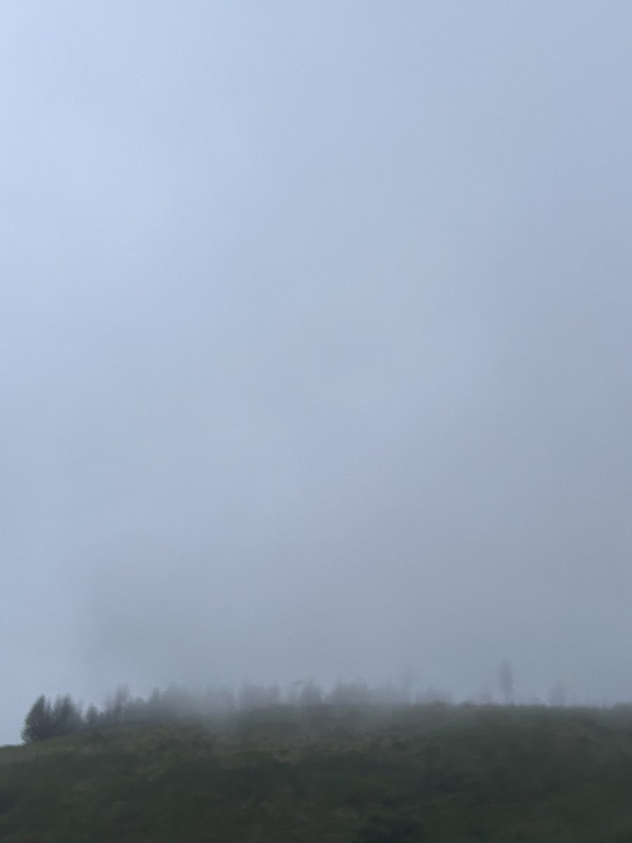 Gareth Davies tweet media