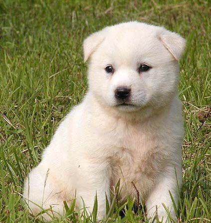 まくの tweet media