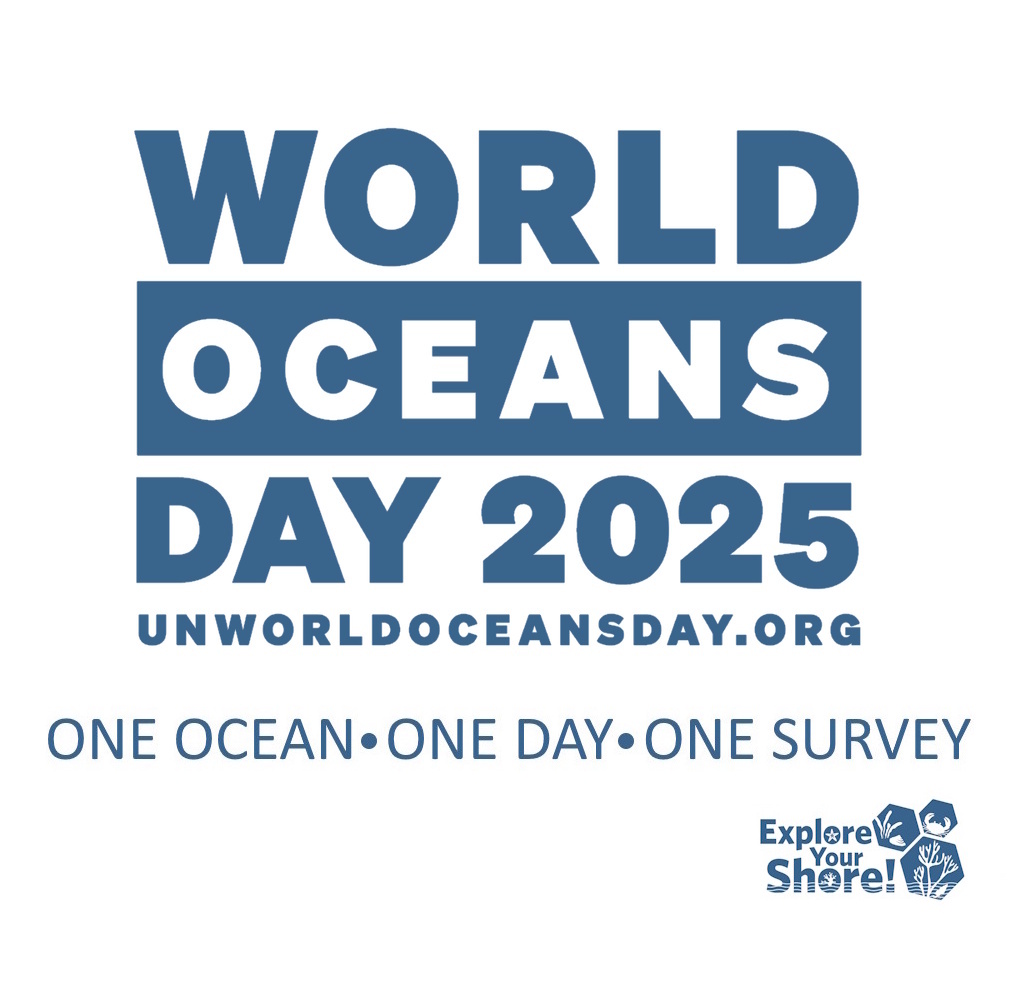 Biodiversity Ireland (@biodatacentre) on Twitter photo 🌊 One Ocean. One Day. One Survey.
World Ocean’s Day is TOMORROW! 🌍
Help protect our seas - Have YOU picked your survey yet? 🐚🦀
👉 exploreyourshore.ie/world-oceans-d…
#WorldOceansDay #ExploreYourShore 🌊 One Ocean. One Day. One Survey.
World Ocean’s Day is TOMORROW! 🌍
Help protect our seas - Have YOU picked your survey yet? 🐚🦀
👉 exploreyourshore.ie/world-oceans-d…
#WorldOceansDay #ExploreYourShore