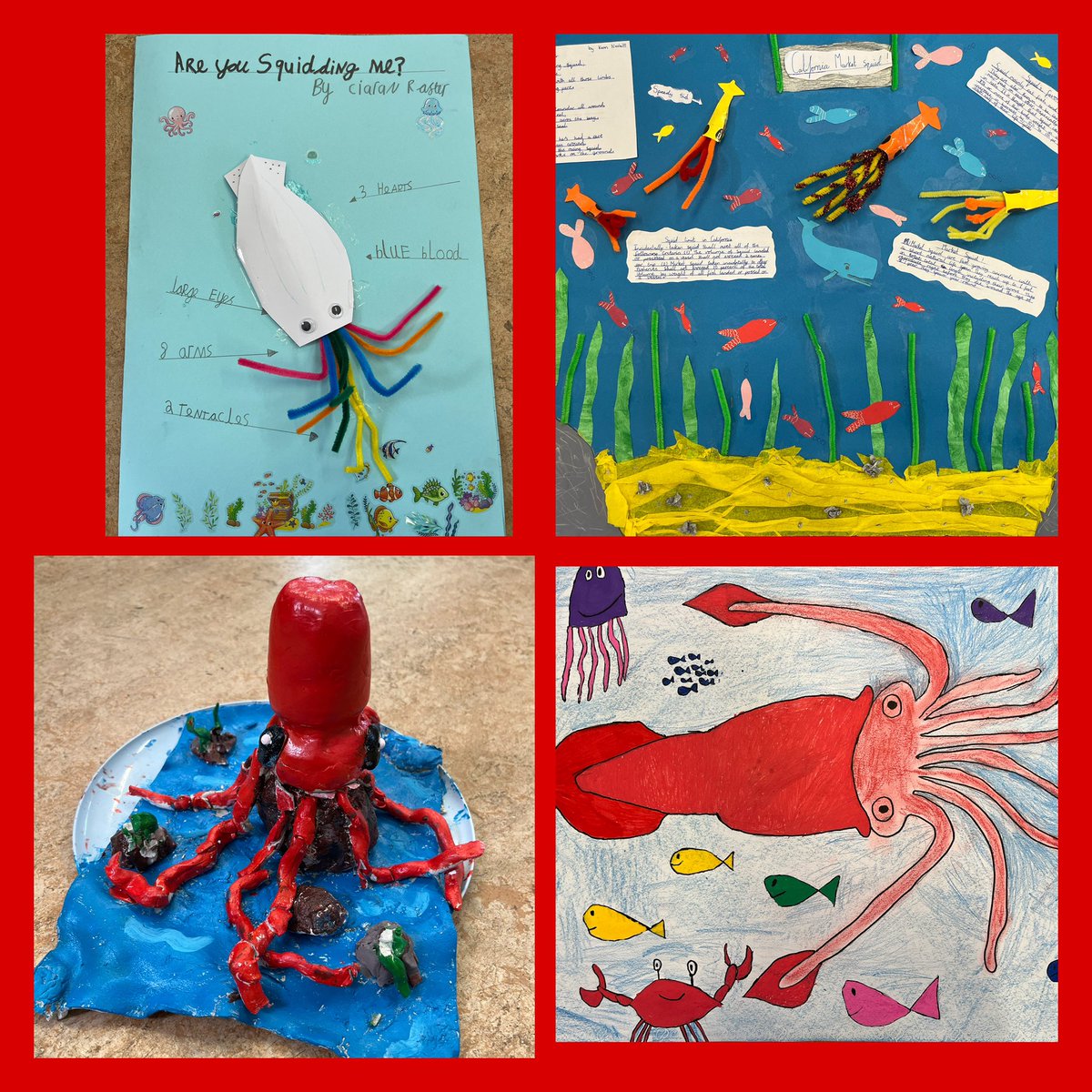 SEASHOREKIDS (@seashorekids1) on Twitter photo Want to know about squid? Ask the Squidsperts🦑at St Laurences NS, Wicklow - great work👏👏🦑<a href="/explorersedu/">Explorers Education Programme</a> <a href="/MarineInst/">Marine Institute</a> Want to know about squid? Ask the Squidsperts🦑at St Laurences NS, Wicklow - great work👏👏🦑<a href="/explorersedu/">Explorers Education Programme</a> <a href="/MarineInst/">Marine Institute</a>