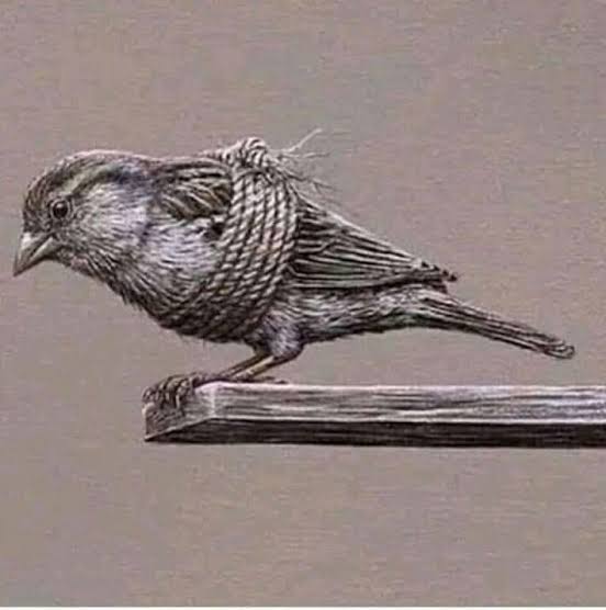 Life of a GENERAL CATEGORY IN INDIA 

#EndReservation #FightForMerit