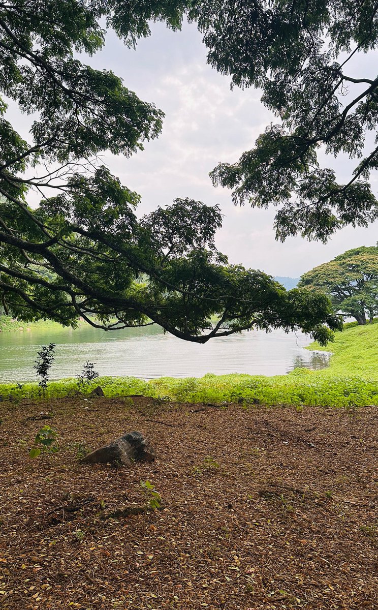 Danuja Jayasinghe 🪻 (@j__danu) on Twitter photo 