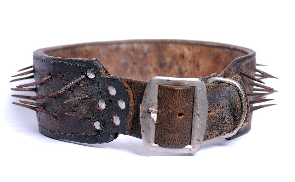 A "carlanca", collar worn by mastiff sheepdogs as protection against wolves, midC20th. I got this in village in Sierra de la Culebra, Zamora a few years ago, home to poss highest density of wolves in Europe. Modified ones still used today. I wonder if OldEnglish had word for this