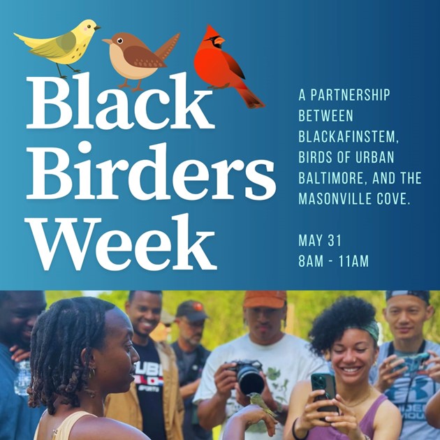 Ahoy! Captain Trash Wheel here! Calling all Black birders. Join us Saturday at Masonville Cove for #BlackBirdersWeek 🐦

Learn about bird banding &amp; see how urban green spaces support migration. Be part of the Black Birding movement in Baltimore!

Register: ow.ly/ZYbg50W0SlV