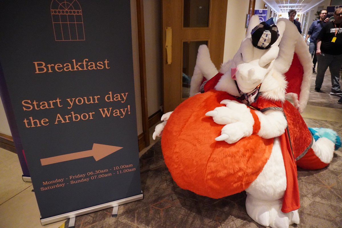 DrakeZard's tweet image. New breakfast room 🍳 Located in here

🪡 @MoreFurLess