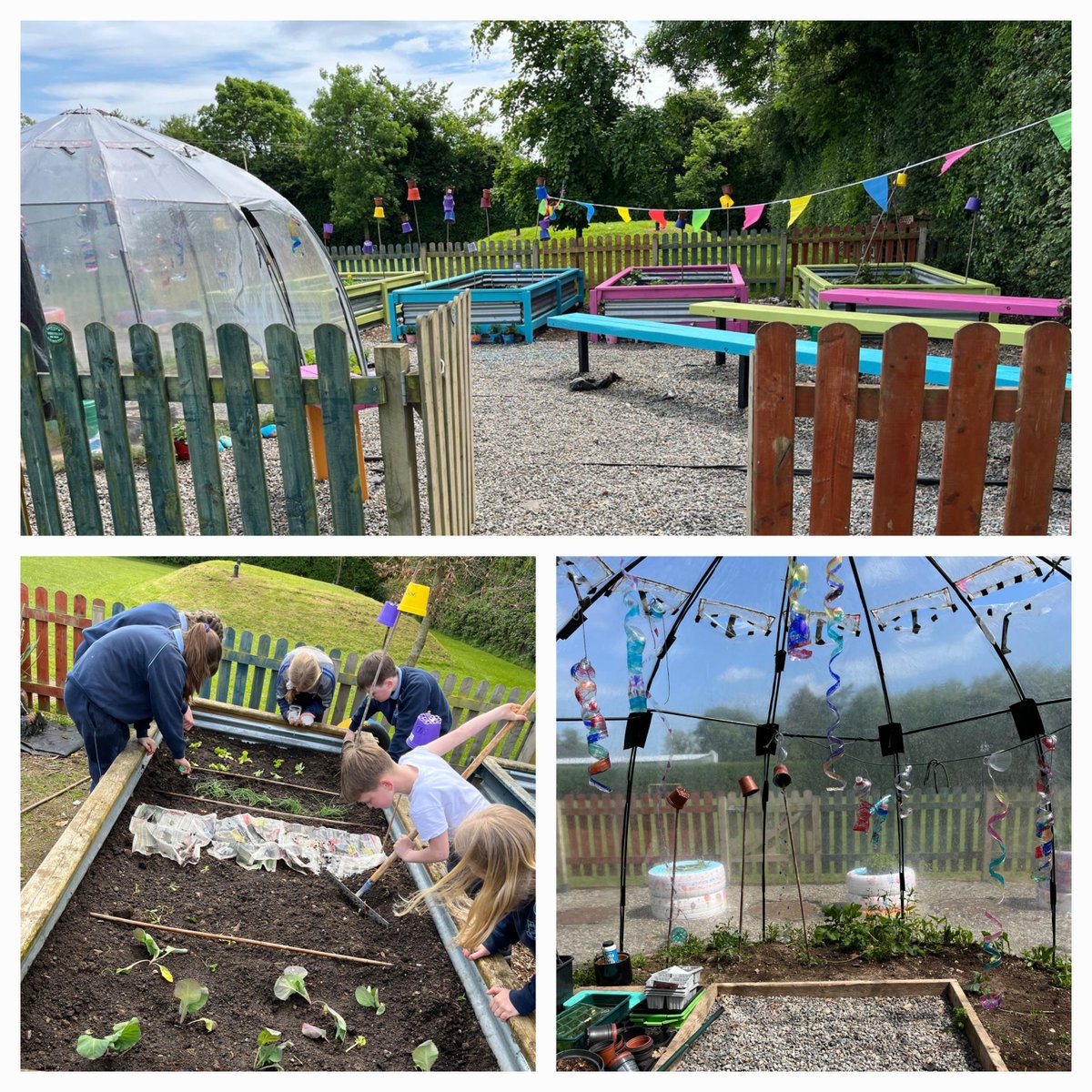 National Arts in Education (@national_aie) on Twitter photo Students from <a href="/killinans/">Killina National School</a> revived their schools garden during their <a href="/KECtweet/">Kildare ESC</a> TAP+ residency with Creative Practitioner Margaret Doherty.
During their residency, students worked collaboratively and enjoyed learning about nature, growing and caring for plants and vegetables whilst Students from <a href="/killinans/">Killina National School</a> revived their schools garden during their <a href="/KECtweet/">Kildare ESC</a> TAP+ residency with Creative Practitioner Margaret Doherty.
During their residency, students worked collaboratively and enjoyed learning about nature, growing and caring for plants and vegetables whilst