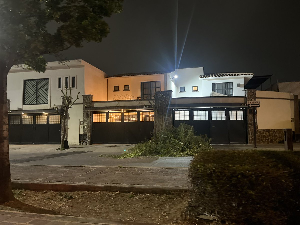 Les digo aquí en la yesca no aguantamos esas cosas verdes horribles 🌳🪓🪵

<a href="/atencionaleon/">Atención Ciudadana León</a> Pradera 2209 y 2211 <a href="/ambiente_leon/">Dirección de Medio Ambiente</a> <a href="/PabloC90575/">Pablo Michael García Cardiel</a> <a href="/FURAmx/">FURA, A.C. 🇲🇽</a>