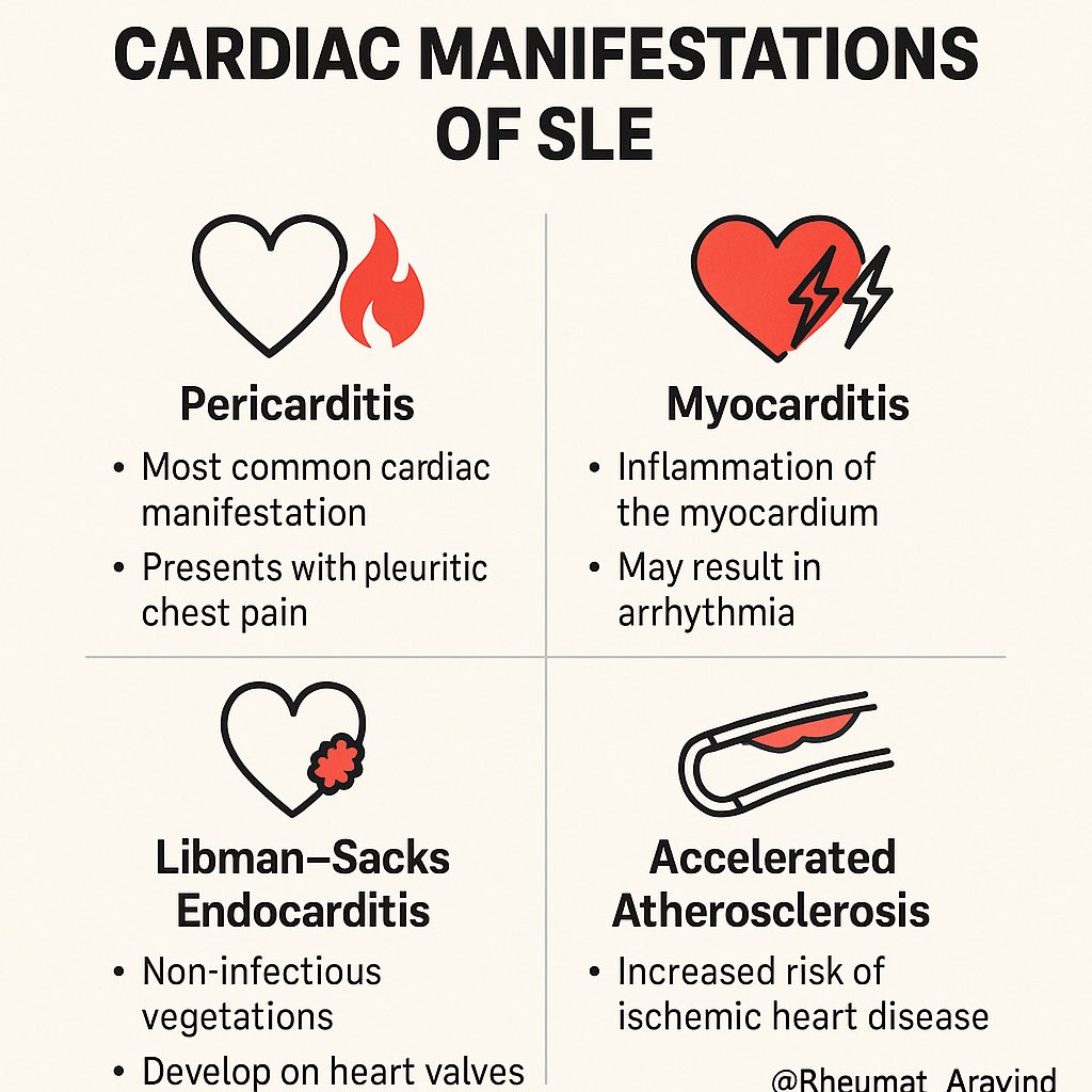 Cardiac manifestations of SLE:
<a href="/IhabFathiSulima/">Dr Ihab Suliman</a> #MedTwitter