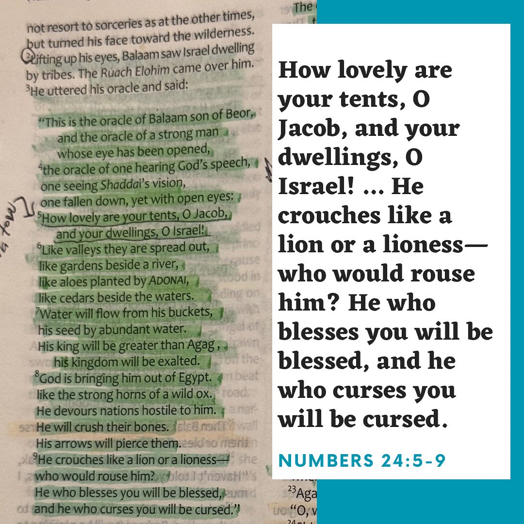 ravdaveed's tweet image. Even when our enemies try to curse, G-d turns it into a blessing. #MaTovu #Numbers24v5thru9 #TLV #TLVBible
•
#WWL #WordAsAWayOfLife #CoffeeAndTheBible #Discipleship #CamperLife