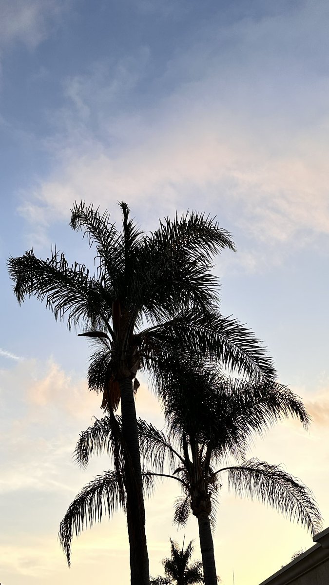 Hello again California