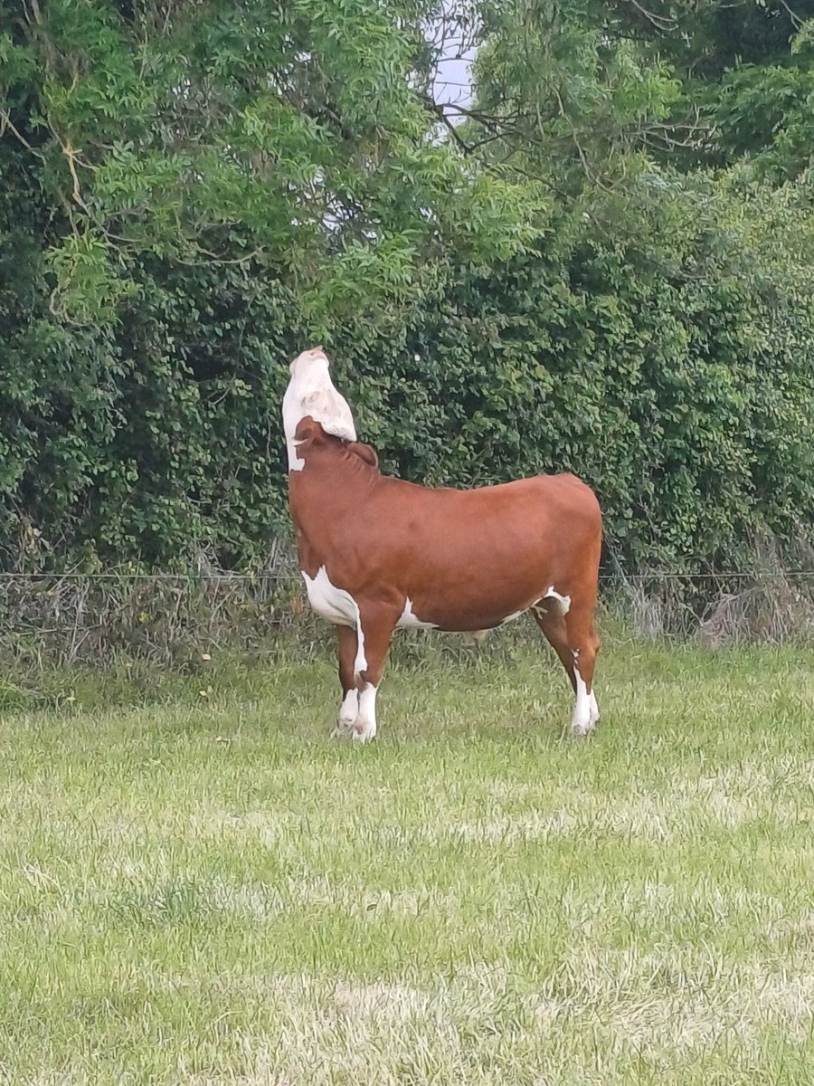 Alan Byrne (@alanbyr6183968) on Twitter photo 