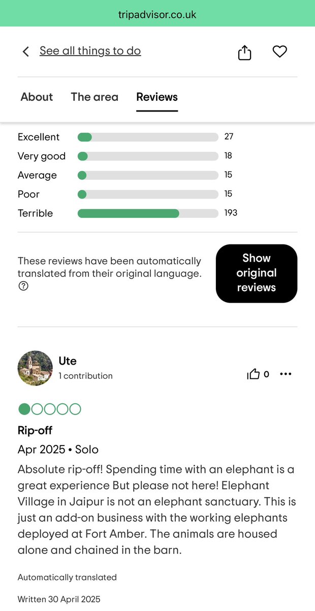 HelenIbbott's tweet image. 😡 This “Hathi Gaon” has appalling reviews from visitors. 

You can see the white wound marks from bull-hooks and poorly fitted “saddles” on their backs.

These elephants are used to ferry visitors, who know no better, up the steep slopes to Amer Fort. 🐘😢

I walk. #RefuseToRide