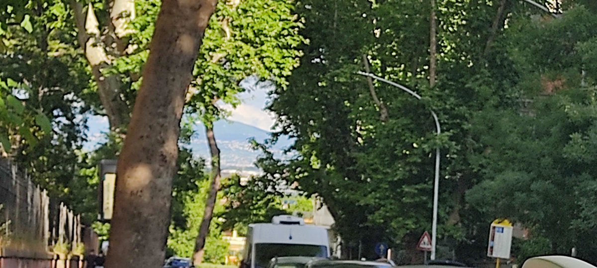 PontAcadLife's tweet image. In the context of our war-torn world, our ongoing journey of healing, and of deepening fraternity, has a vital role to play ... more united Christians are the more effective will be our 
witness to Christ in building up a civilization of loving encounter. @Pontifex #Anabaptist