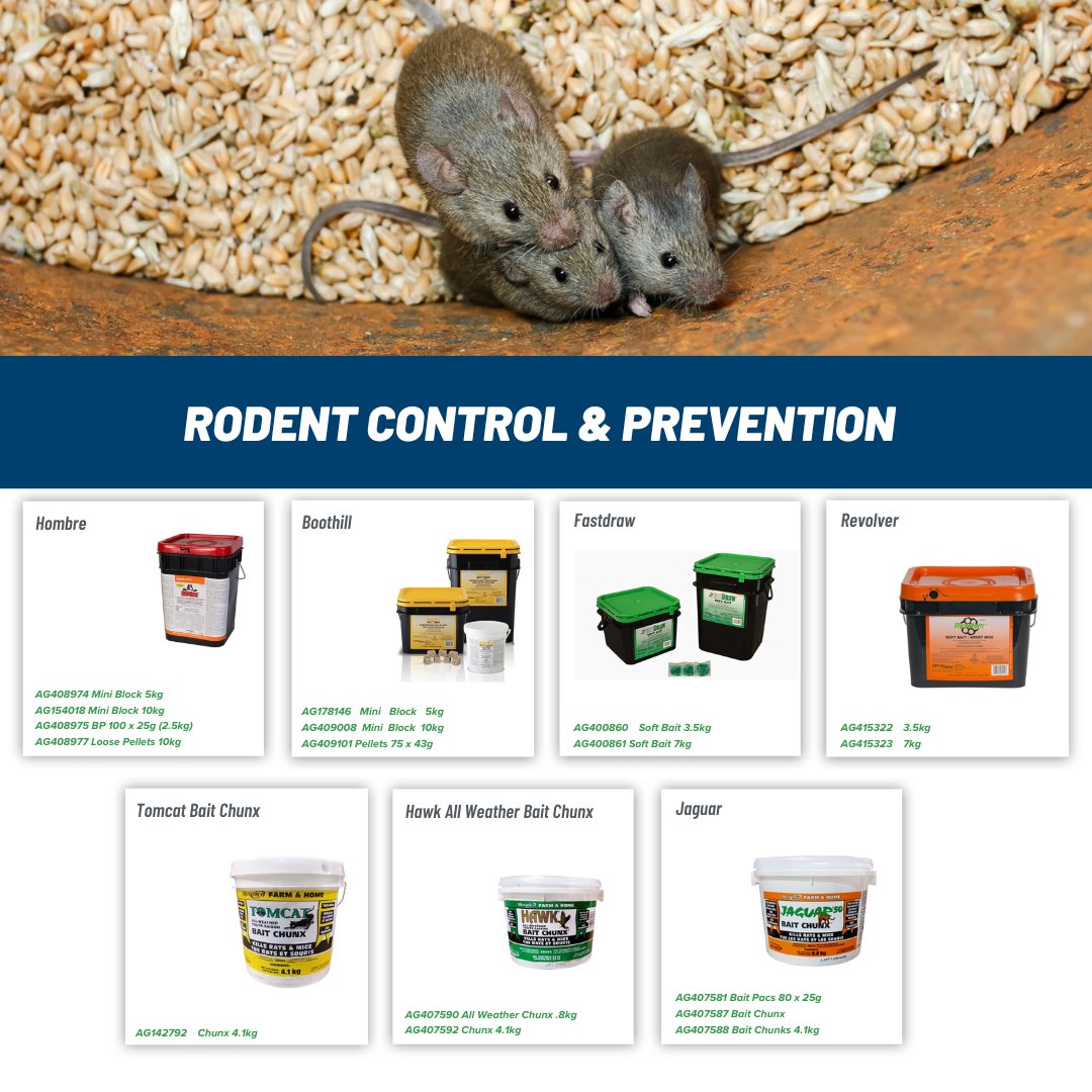 newstandardgr's tweet photo. Prevent rodent damage before it begins 🐀

Visit our store for rodenticides and traps!

#RodentPrevention #Farming #NewStandardAg https://t.co/fEHWekLZOs