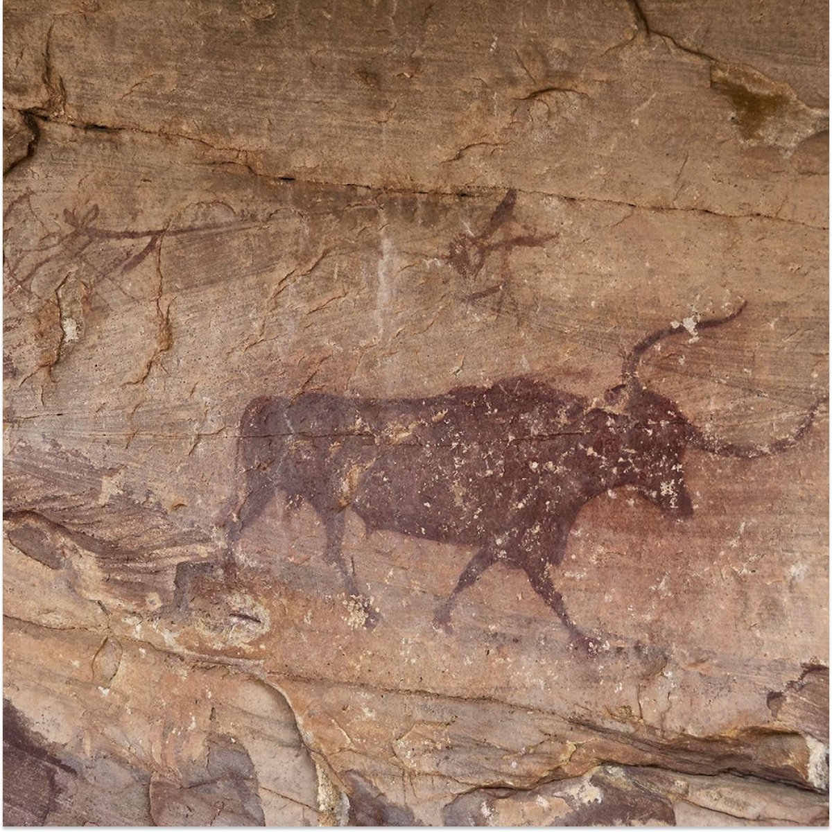 Un tesoro oculto en la Serranía de Cuenca: la Cueva de la Ramera.🪨
Colgada sobre la Hoz de Beteta, te invitamos a descubrir esta joya kárstica.
Caprichosas formaciones, vistas únicas y 1 km de pura maravilla subterránea.
⚠️ Acceso restringido.