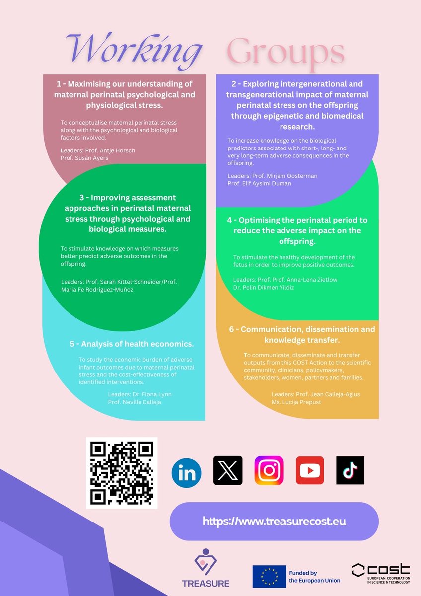 TREASURE (COST Action CA22114) is a multidisciplinary initiative dedicated to investigating Maternal Perinatal Stress and Adverse Outcomes in the Offspring.

With six dedicated working groups, TREASURE is building a global research community.

🔗treasurecost.eu