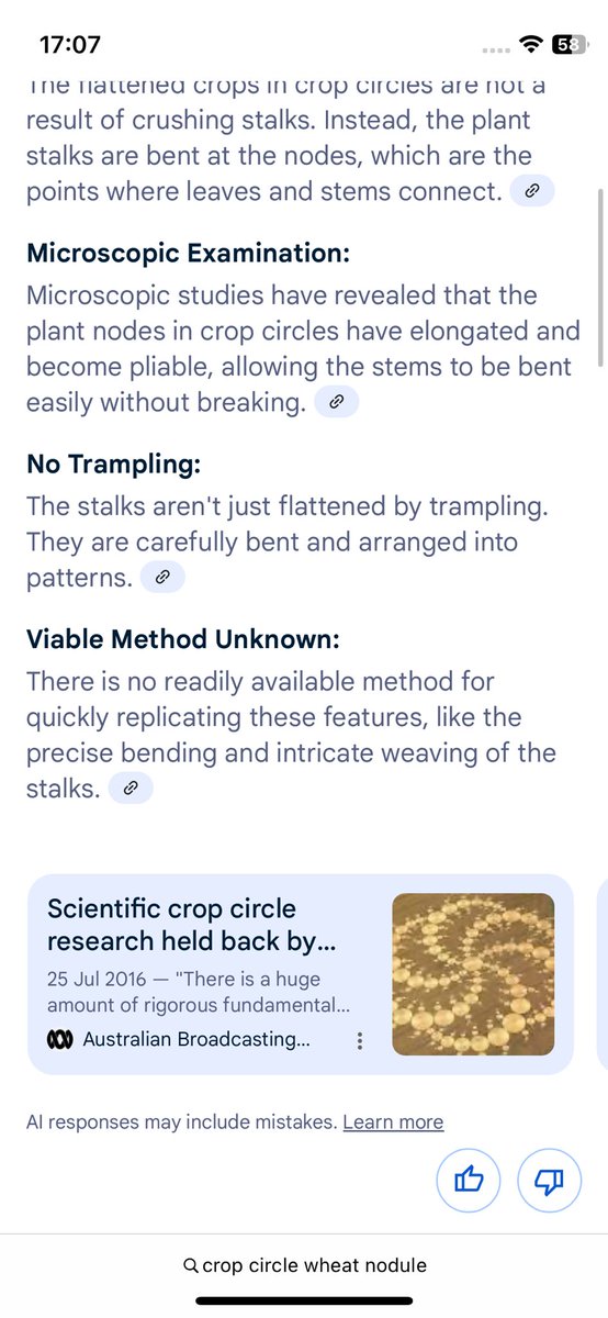 Gáspár tweet media