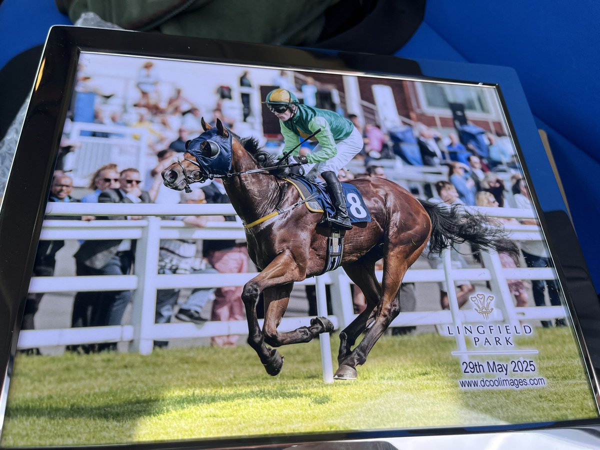 Birkett Racing (@juliafeilden) on Twitter photo ๐ WINNER ๐
Top Biller makes every post a winning one at <a href="/LingfieldPark/">Lingfield Park</a> under <a href="/Dylanhogan94/">Dylan Hogan</a> ๐ฅ Well done Team Birkett! ๐ WINNER ๐
Top Biller makes every post a winning one at <a href="/LingfieldPark/">Lingfield Park</a> under <a href="/Dylanhogan94/">Dylan Hogan</a> ๐ฅ Well done Team Birkett!