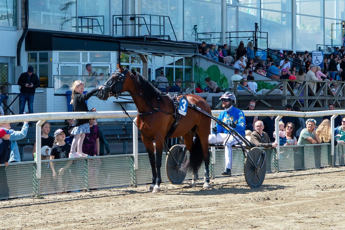 Den här bilden är bara för fin för att inte dela ❤️
Ejnar trivdes som fisken i vattnet när han fick massa uppmärksamhet under segerdefileringen 🌟