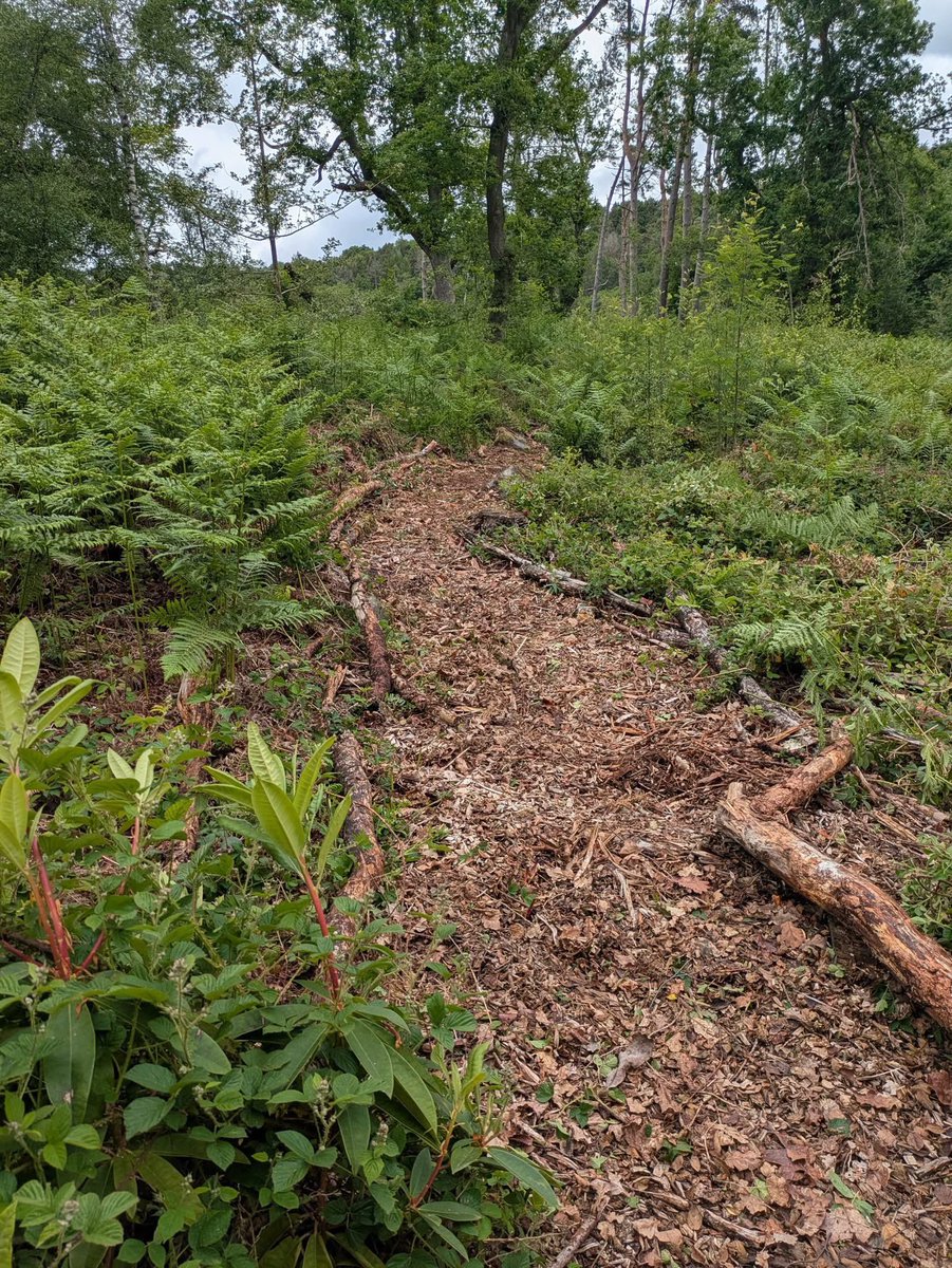 Our new sponsors @Gripple worked hard over two days in the orchard and behind Whirlow Brook Hall - clearing a path through the undergrowth to start a  'scramble area' for children. They also took down an old fence in readiness for a new fence to be installed. Thanks guys!