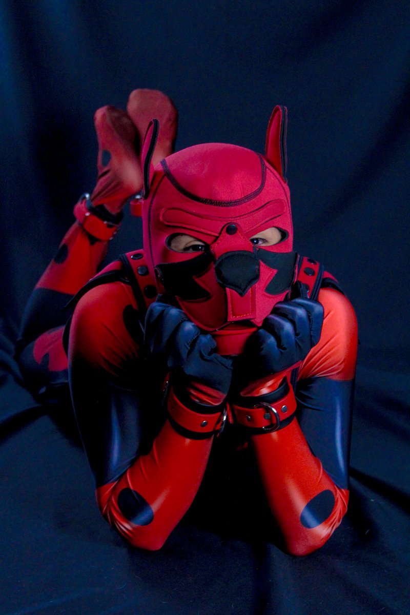 "Después de un largo viaje, Bugart 🐞 está de vuelta... más tierno que nunca 🐶❤️"
.
.
#gay #spandex #superherofetish  #puppyplay #humanpup #puppygear #puppyplaycommunity #puppyplaylifestyle #puppytraining #puppyplaytime #puppyplaymate #puppyplayful #puppyplayworld #KinkyAF #BDSM